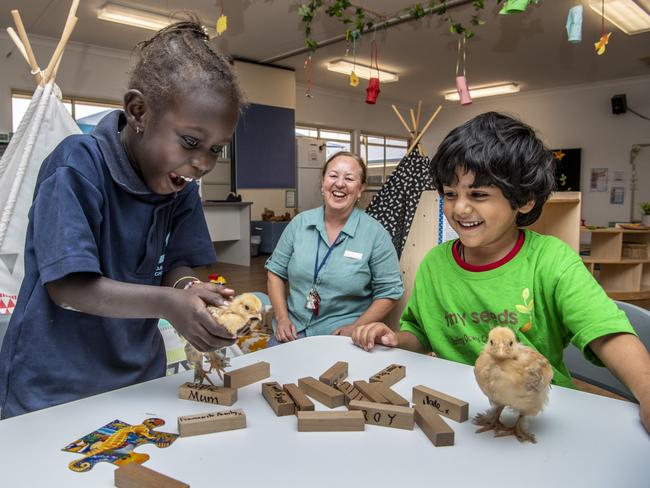 Chirp of approval: New kindy welcomes students and class pets