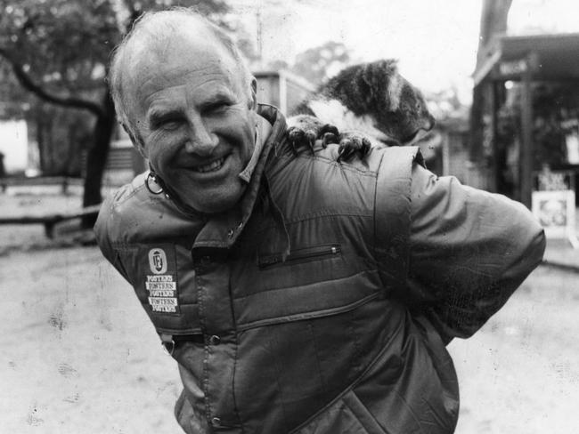 Author, commentator Clive James in Adelaide for the Australian Formula One Grand Pix.  Pictured at Cleland Wildlife Park with Katie, the koala, 23 Oct 1986.  (Pic by unidentified staff photographer)