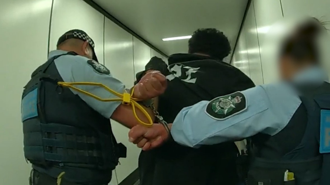 Dramatic flight arrest after alleged assault