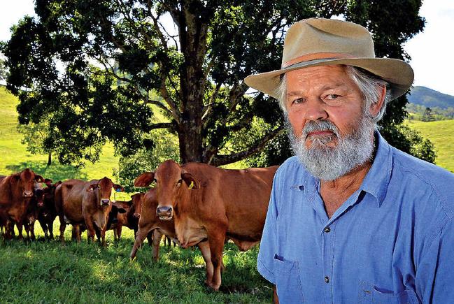 LOOKING UP: Langshaw beef producer Gary Tramacchi made the most of soaring cattle sale prices this week at the Gympie Saleyards, saying they are the best he has seen in 40 years. . Picture: Patrickwoods