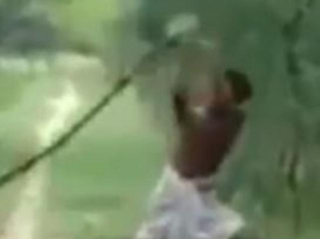 A man kills a cobra with his bare hands