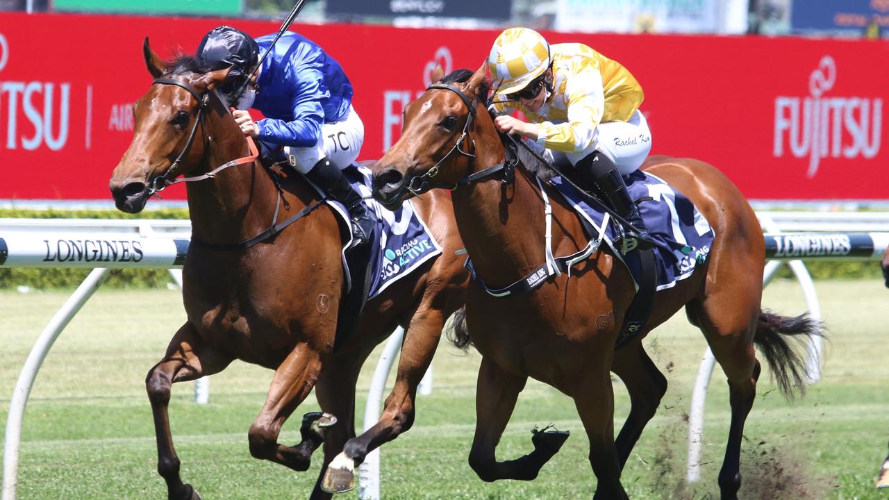 Ojai (left) beat Queen Of The Ball (right) in the Kirkham Plate in the Spring. Picture: Grant Guy