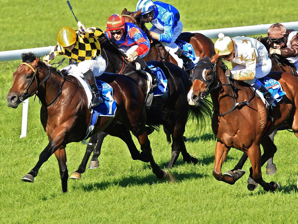 Horse racing tips: Best bets Nowra, Tamworth races | Daily Telegraph