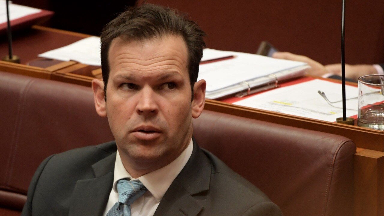 Not Utilising Matt Canavan On The Frontbench Is A Recipe For Stupidity The Advertiser