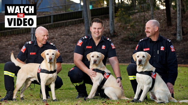 Fire + Rescue K9 Unit