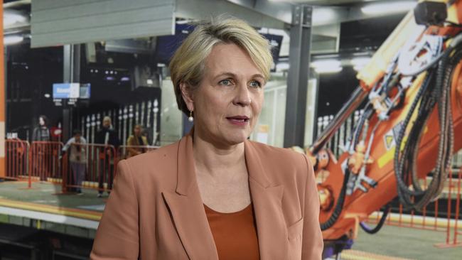 Environment Minister Tanya Plibersek in Melbourne on Tuesday. Picture: NewsWire / Andrew Henshaw