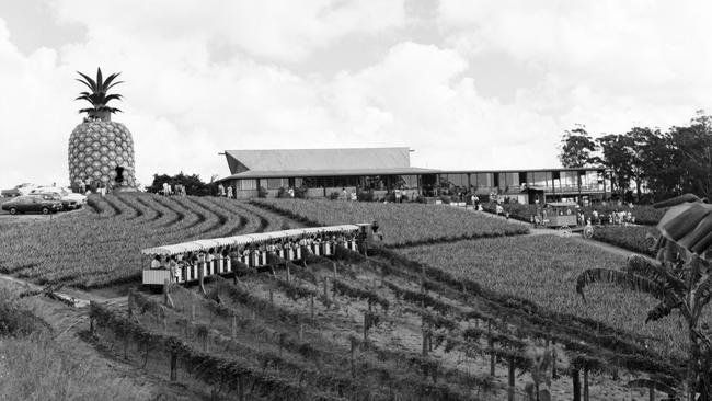 Sunshine Plantation passenger train, Big Pineapple and Visitor Centre, Woombye, April 1976. Officially opened on the 15 August 1971.
