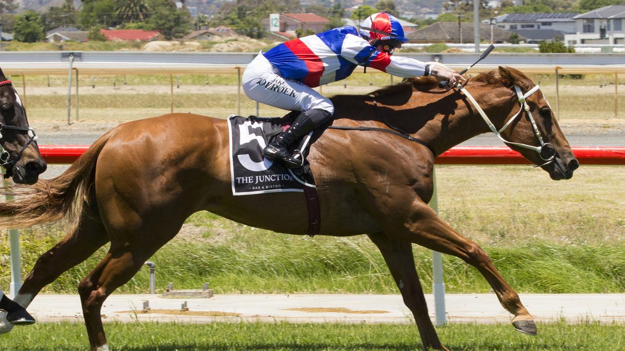 Jake Toeroek rides Full Probe to victory at Morphettville on Saturday. Picture: Atkins Photography
