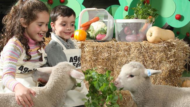 Seven-year-old Zara Coleiro and her brother Hugo, four, got to meet lambs, Roy and Aggie, in the Aggie’s farm area at the Show. Picture: Dean Martin