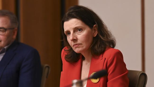 Allegro Spender hit out at the Greens. Picture: NCA NewsWire / Martin Ollman