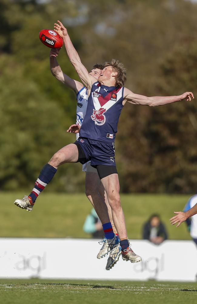 Max Heath rucking for Sandringham Dragons.