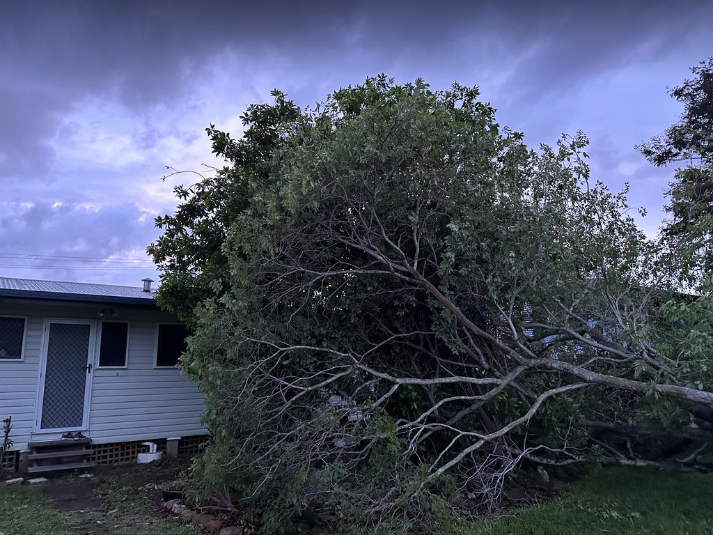 Tropical Cyclone Kirrily 2024 Photos of the morning after storm tore