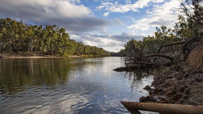 Climate change is having a profound impact on the Murray/Darling river system, scientists say. Picture: Hollie Adams