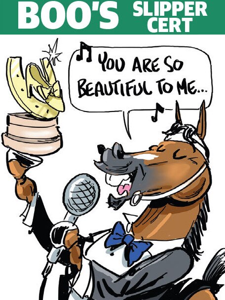 Boo Bailey's cartoon tip for Golden Slipper