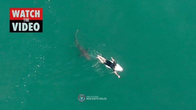 Dramatic vision - drone saves surfer from shark