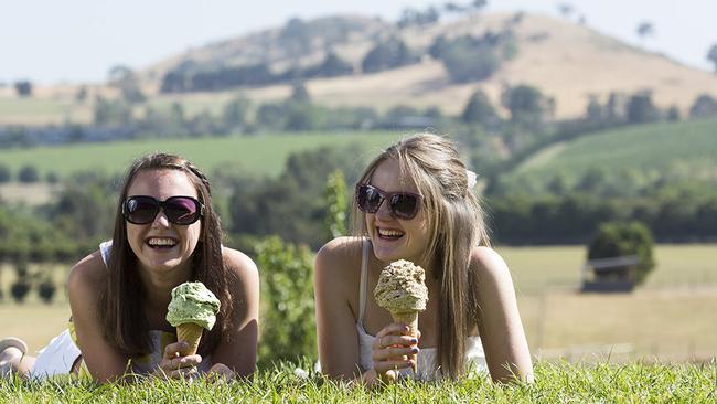 Enjoy an ice cream in the sun at Yarra Valley Chocolaterie &amp; Ice Creamery.