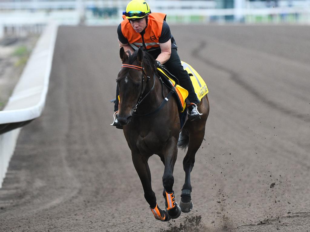 In Her Time of Australia works at Sha Tin racecourse in Hong Kong.