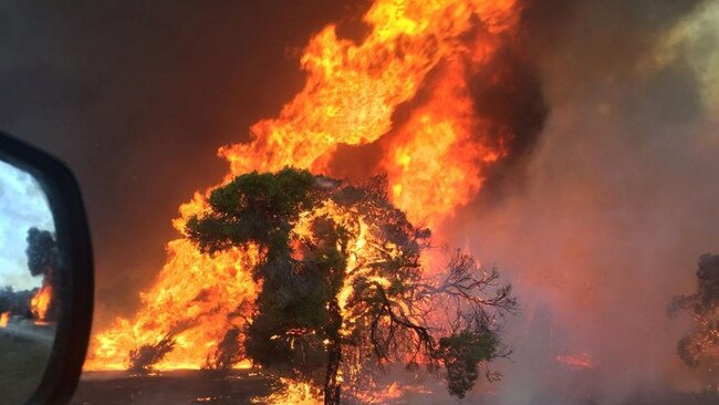 Ben Clark deceptively received $10,000 from a bushfire relief application.