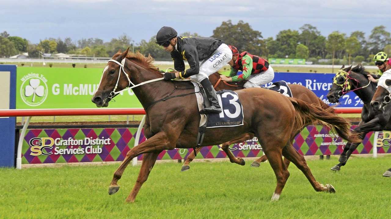 Talented mare flying the flag for the Northern Rivers | Daily Telegraph