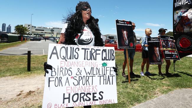 Tammy Hogan protesting against the Magic Millions races. Photo: Jason O'Brien