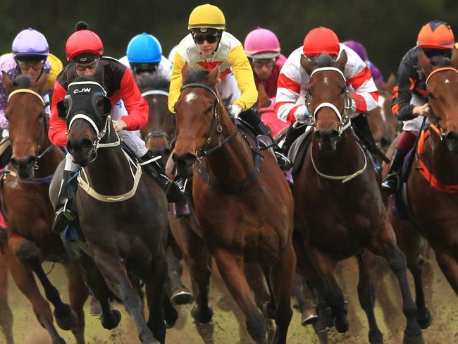 Gosford Races. Race 6 at the home turn, was won by Hugh Bowman on She's Clean, (pink cap).