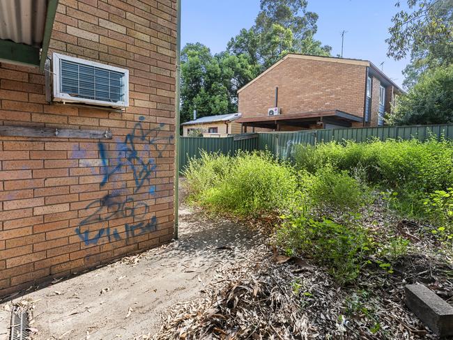 The backyard is overgrown.