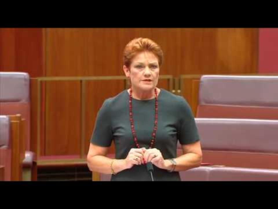 One Nation Party Leader Says She's Shaken Off Racist Comments