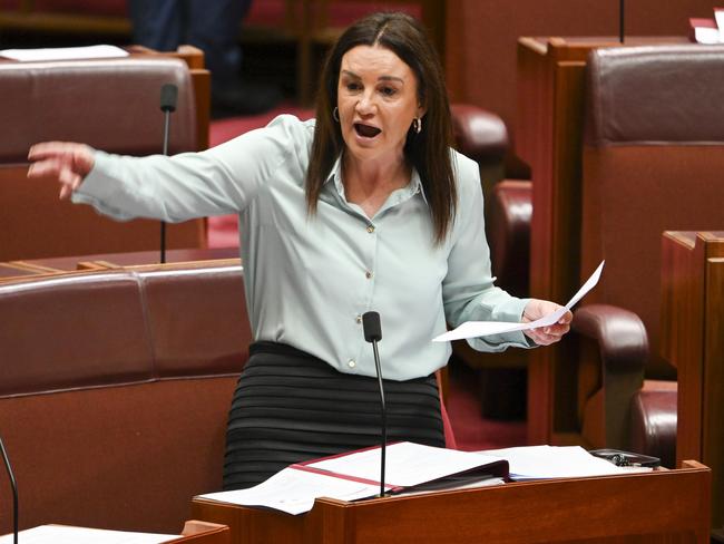 CANBERRA, AUSTRALIA  - NewsWire Photos - November 28, 2024: Senator Jacqui Lambie in the Senate at Parliament House in Canberra. Picture: NewsWire / Martin Ollman