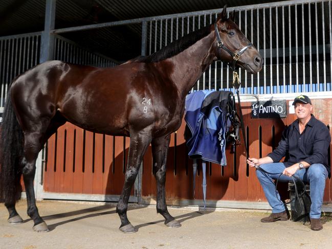 ## MUST HOLD FOR Stradbroke Handicap liftout ## - Tony Gollan and mum Paulette  Gollan with horse Antino,Eagle Farm Racecourse, on Thursday 6th June 2024 - Photo Steve Pohlner