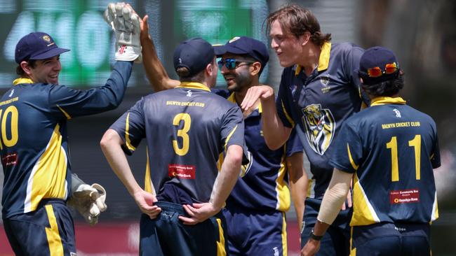 The Tigers celebrate a wicket on Saturday. Picture: Georg Sal