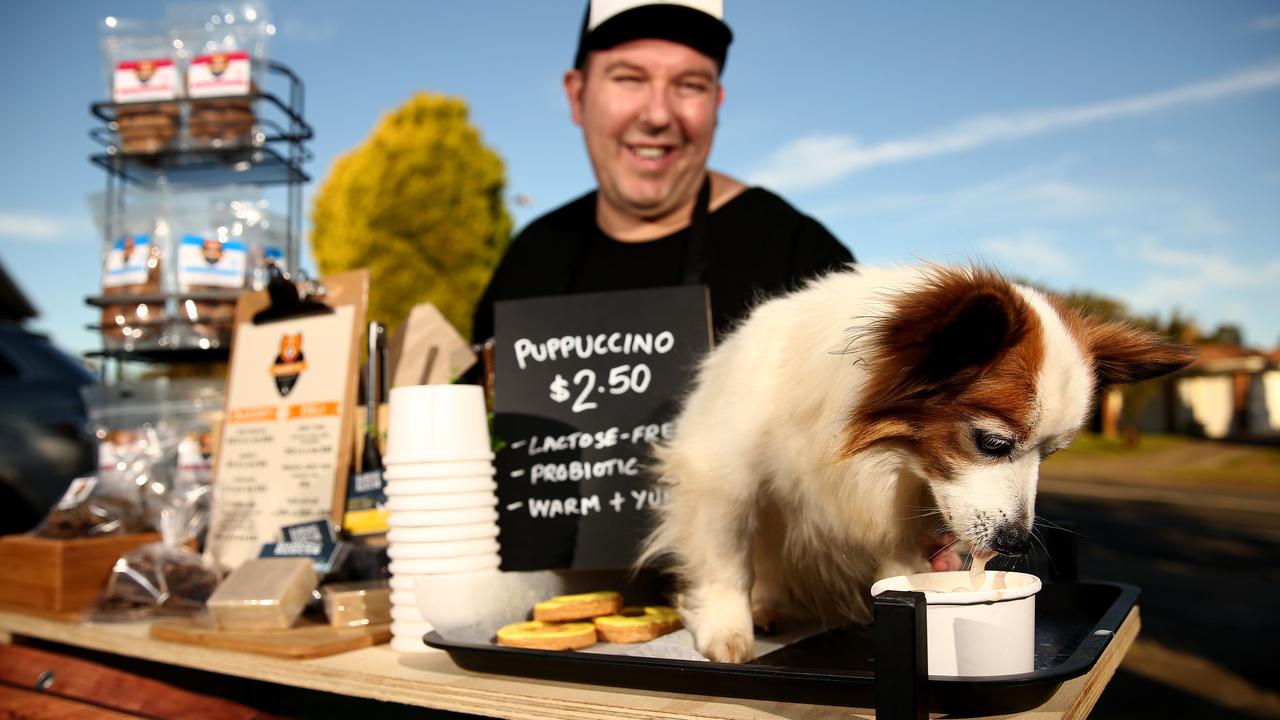 Ryan Harvey of Darby's Dog Bakery and Deli with Morris, drinking a puppuccino. Picture: News Corp