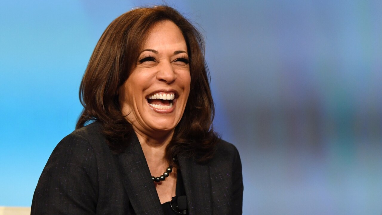 ‘Sounds like an Instagram caption’: Kamala Harris starts meeting by declaring pronouns