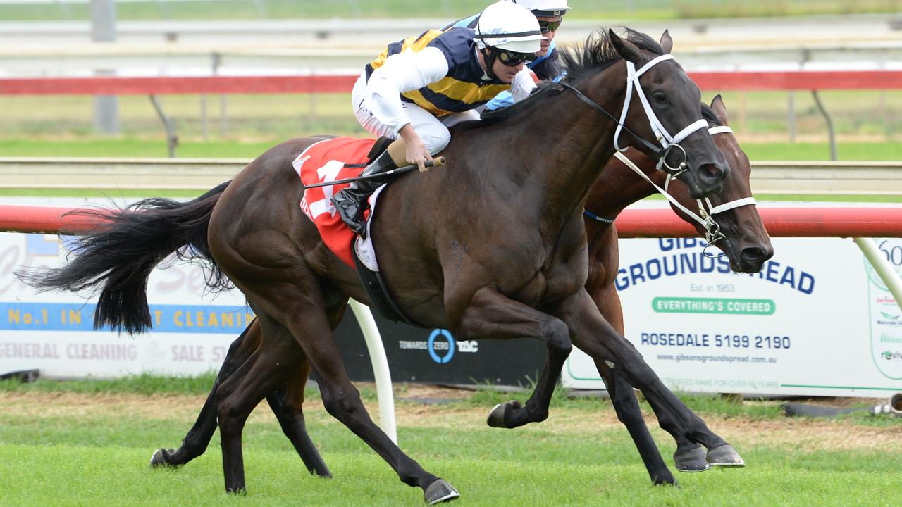 Meltdown (NZ) ridden by Luke Nolen wins the Ladbrokes Split Multi 3YO Fillies Maiden Plate at Sale Racecourse on February 12, 2021 in Sale, Australia. (Ross Holburt/Racing Photos)