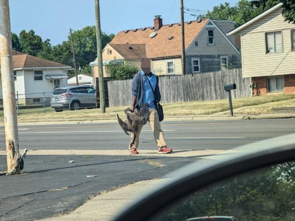 This photo of an unknown man holding a goose in Columbus, 45 minutes from Springfield, has been seized by right-wing X users. Springfield authorities say there’s no evidence of Haitian migrants eating cats, dogs or geese. Picture: Reddit