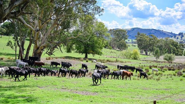 Going, gone: Old Toonallook in NSW has sold for millions prior to auction.