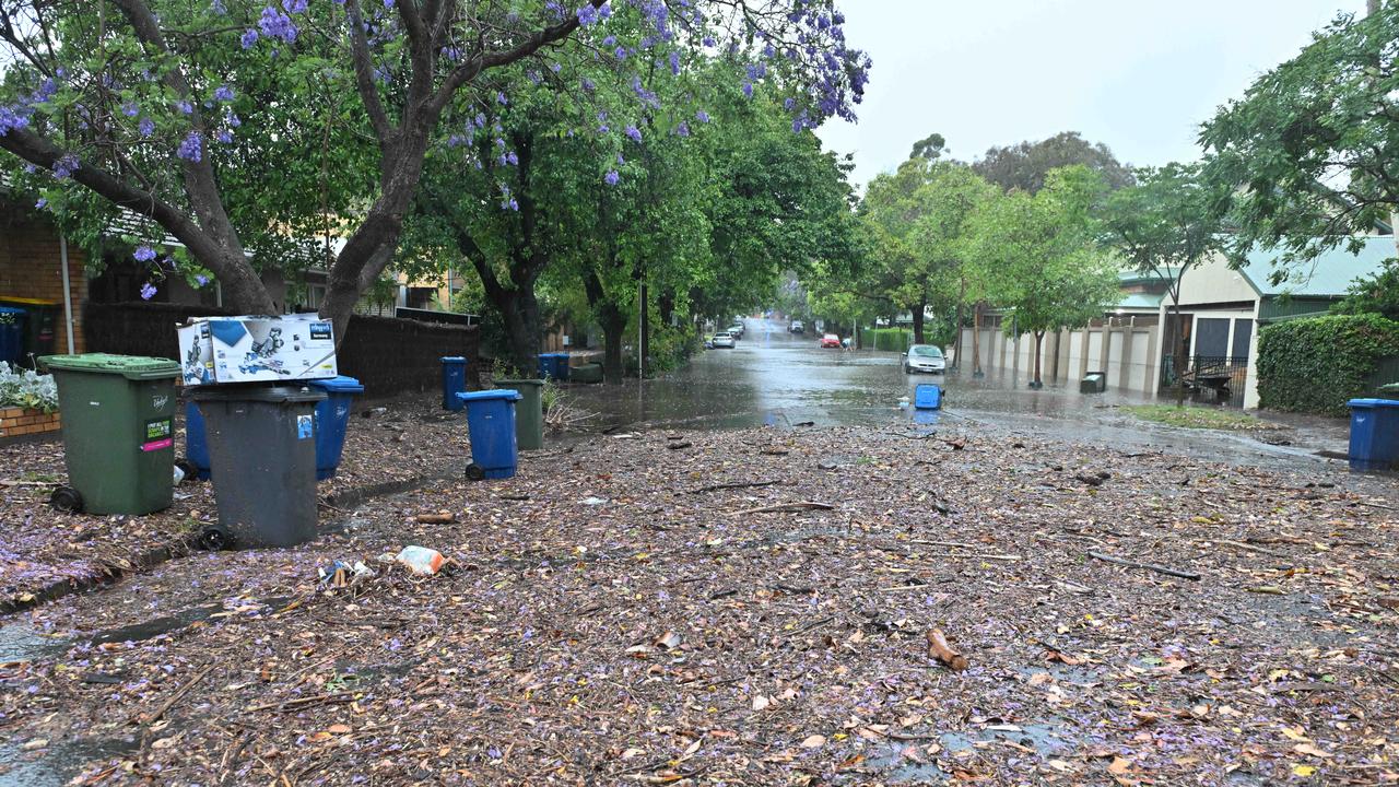 Rubbish and foliage strewn across a Wayville street. Picture: Brenton Edwards