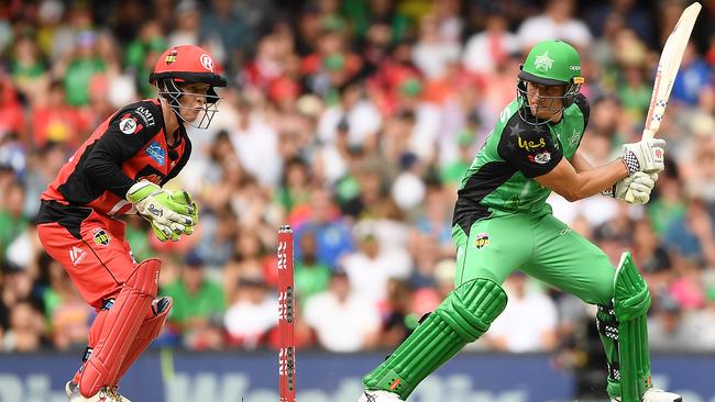 Marcus Stoinis was a rock at the top of the order for the Stars. Picture: Getty Images 