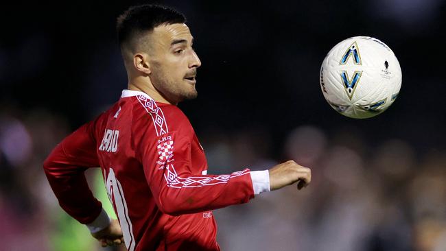 Gian Albano in action for Melbourne Knights.