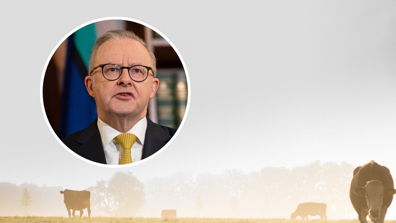 Explainer: What a Labor win means for farmers