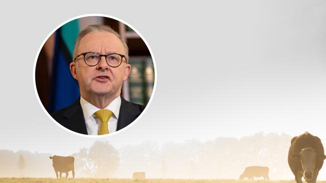 Labor gov what it means for farmers Canva WT