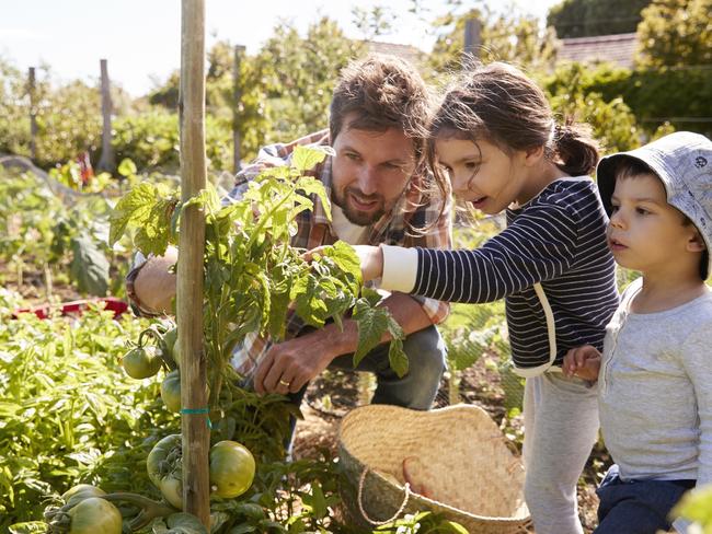 Calcium is crucial for us to grow, and plants as well.