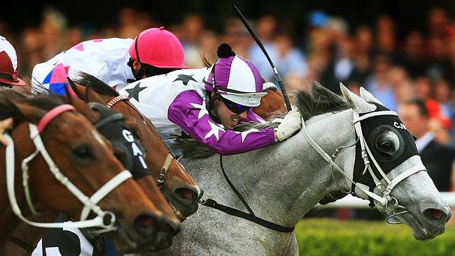 Ghostly grey Arinosa has found some solid support from punters in the last race at Caulfield. Picture: Mark Evans