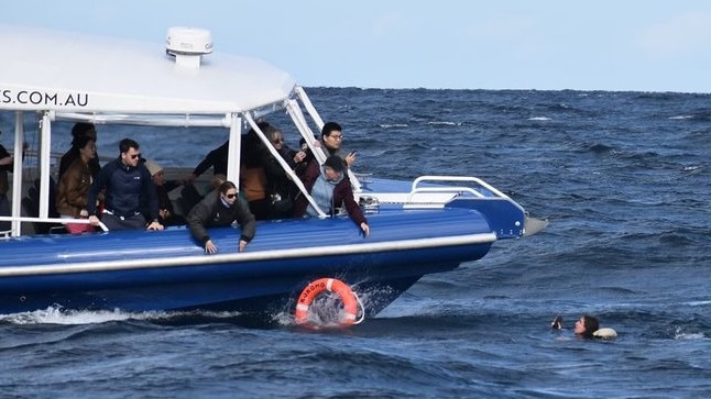 Tourist falls from whale watching boat off Gold Coast. Picture: 9News