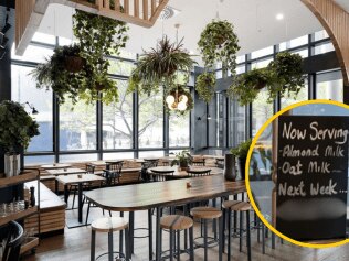 Melbourne cafe sparks frenzy with wild menu item