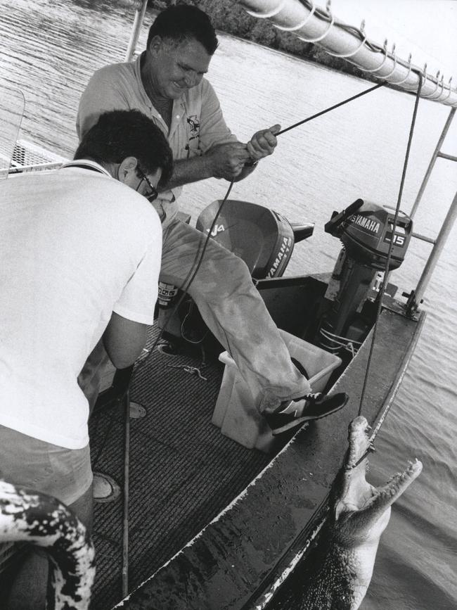Parks and Wildlife Rangers Peter Kennedy and Neville Haskins pull a captured crocodile out of the Darwin Habour.