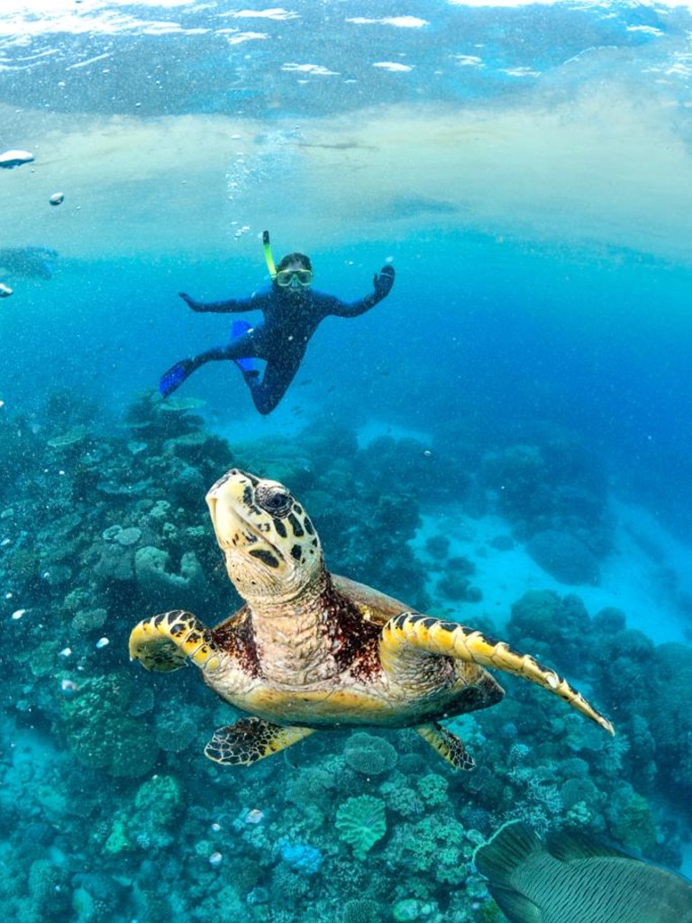 This is my friend, not me, but I stayed in the water long enough to see a turtle! Picture: supplied.