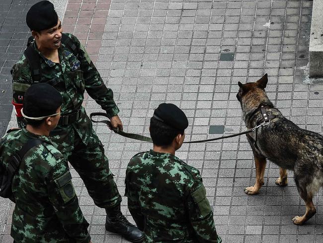 Thai soldiers and sniffer dogs stand near Erawan Shrine, a popular tourist destination that was the site of a bomb attack almost one year ago, in Bangkok on August 12, 2016. A string of bomb attacks hit popular tourist towns across Thailand, leaving four dead and many injured, with authorities on August 12 ruling out terrorism despite suspicions insurgents in the kingdom's deep south are responsible. Small bomb attacks are common in Thailand during times of heightened political tension, but there have been few such incidents in the past year after the 2015 blast at Erawan shrine and it is rare for tourists -- a key source of income for the kingdom -- to be targeted. / AFP PHOTO / LILLIAN SUWANRUMPHA