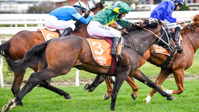 Willie Pike winds up Ole Kirk in the Caulfield Guineas. Picture: Reg Ryan – Racing Photos via Getty Images