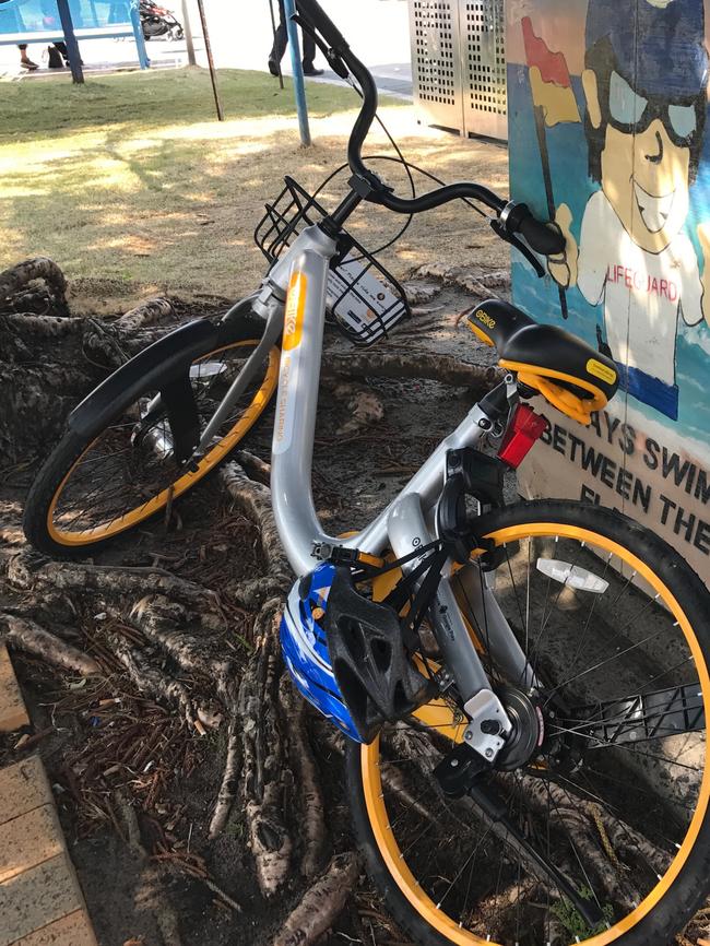 An oBike left dumped in the roots of a tree at Coogee. Picture: Rebecca Franks