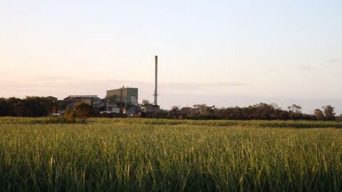 The cane fields and Rocky Point Mill.